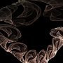 flux_chaotique_11-06